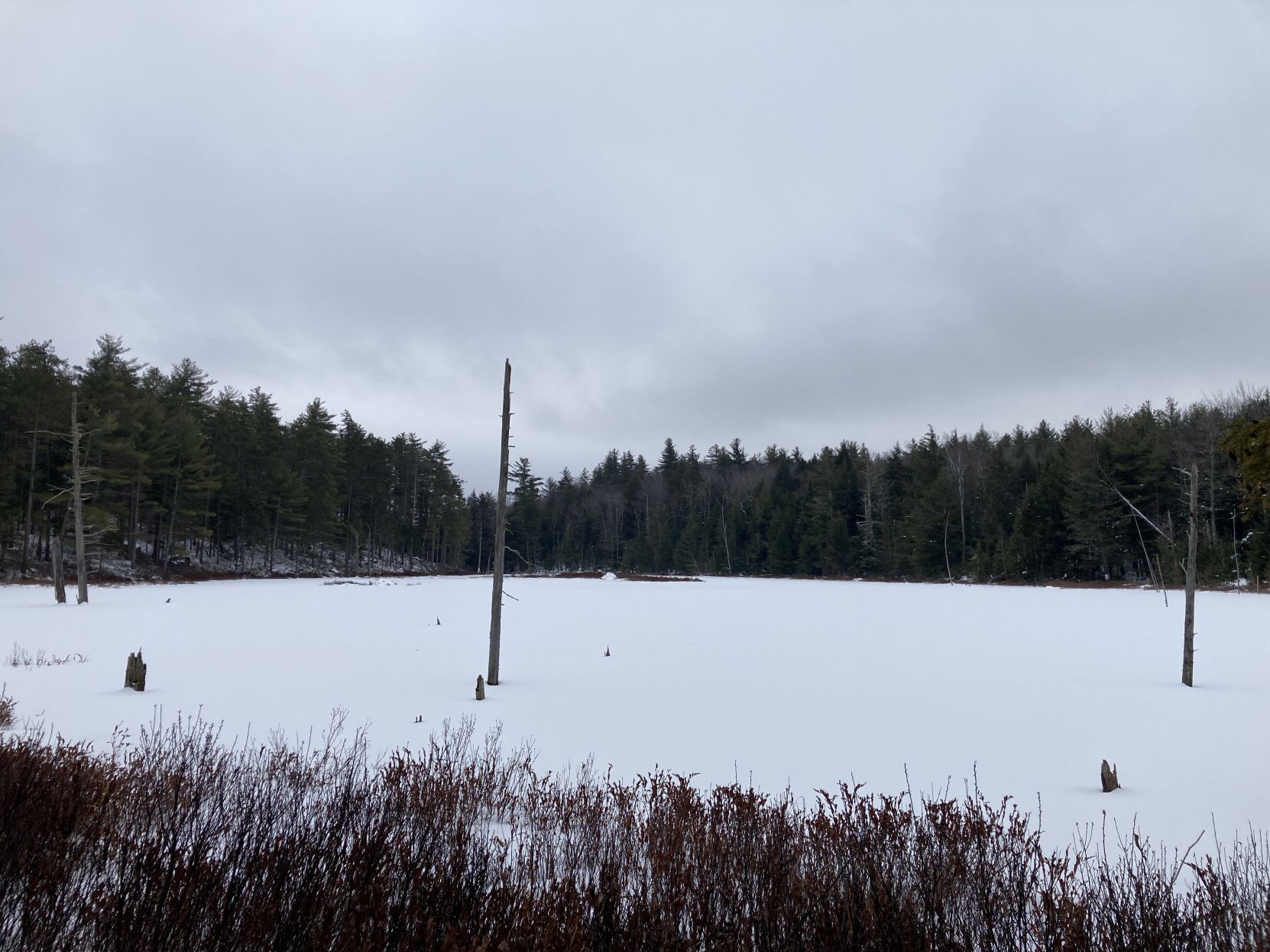Chase Pond